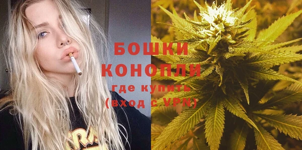 гидра Бронницы