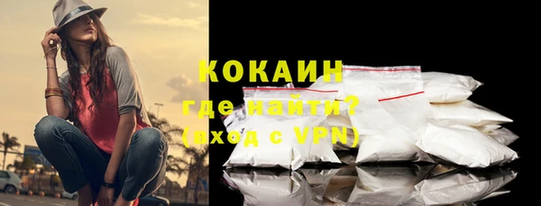 гидра Бронницы
