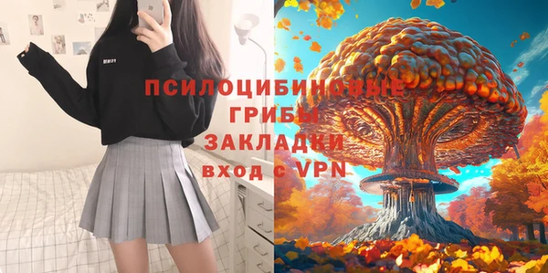 гидра Бронницы